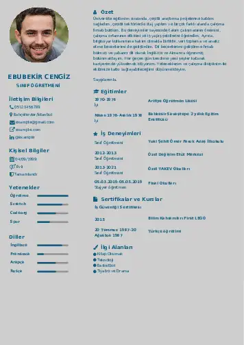 Sınıf Öğretmeni Cv Örnekleri cv indir